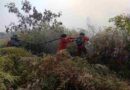 Jumlah Hotspot Suhu di Kalimantan Menurun, Karhutla Belum Berakhir Jumlah Hotspot Suhu di Kalimantan Menurun, Karhutla Belum Berakhir