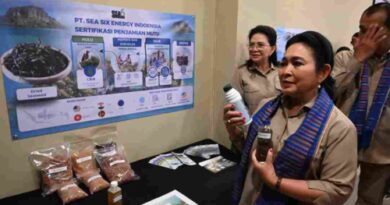 Rumput Laut Hanya Diekspor Mentah, Titiek Soeharto Minta Hilirisasi Sampai Produk Akhir