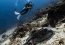 Pulau Maratua: Destinasi Kawasan Coral Triangle yang Esotik