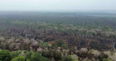 Penanganan Karhutla di Taman Nasional Way Kambas Lampung Harus Jadi Prioritas